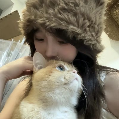 房子与狗